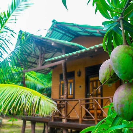 Yalaway Nature Villa Tissamaharama Exterior photo
