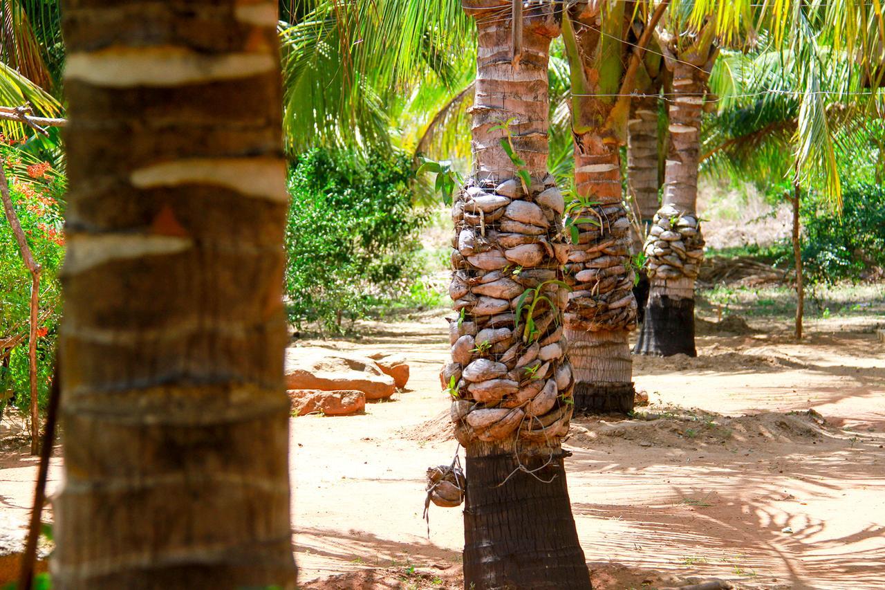 Yalaway Nature Villa Tissamaharama Exterior photo